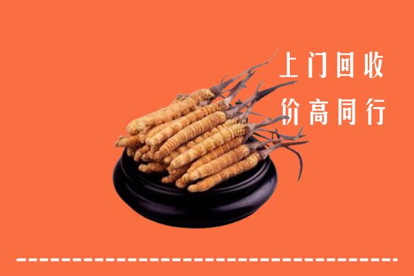 高价求购：杭州淳安回收散虫草