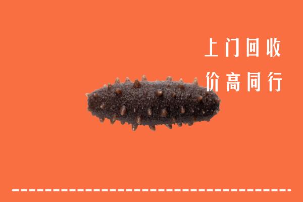 高价求购：杭州淳安回收海参