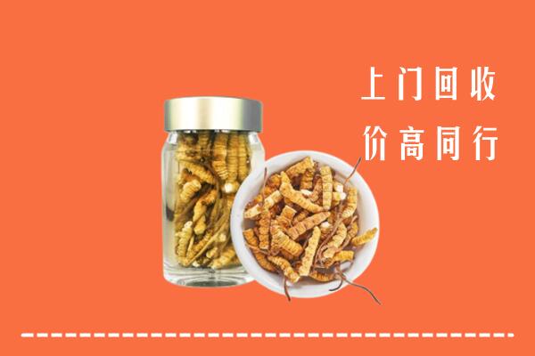 杭州淳安回收冬虫夏草